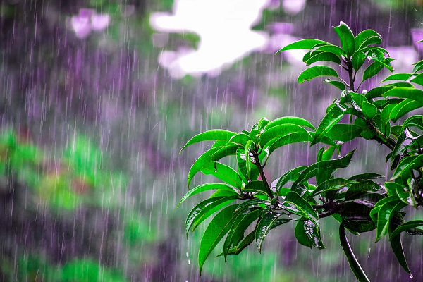 வளிமண்டலவியல் திணைக்களம் வெளியிட்ட அறிவிப்பு! | Department Of Meteorology Announced