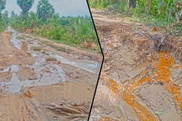 முல்லைத்தீவு உடுப்புக்குளத்தில் காணாமல் போன வீதி: காரணங்களை ஆராயும் ஆர்வலர்கள்