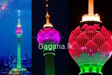 නෙළුම් කුළුණ ගැන රටටම සුභ ආරංචියක්...