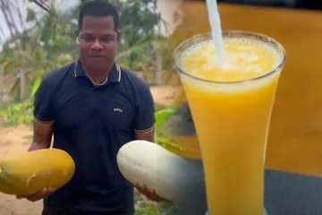 றீ(ச்)ஷா பண்ணையில் கிலோக்கணக்கில் காய்த்து குலுங்கும் வெள்ளரி