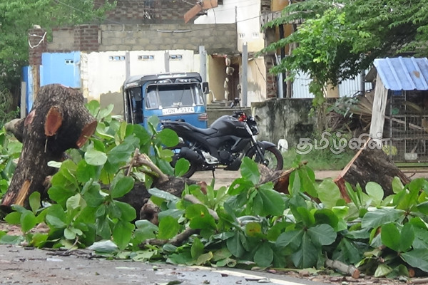 சீரற்ற காலநிலை! மட்டக்களப்பு மாவட்ட நிலவரம் | Bad Weather Sri Lanka