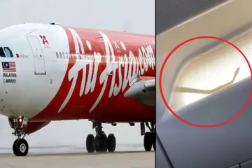 நடுவானில் நடந்த திகில் சம்பவம்.. ஜன்னலில் இருந்து எட்டி பார்த்த ராஜ நாகம்! பதறிப்போன விமானி செய்த காரியம்