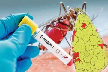 நாட்டில் டெங்கு மரணங்களின் எண்ணிக்கை 78 ஆக அதிகரிப்பு