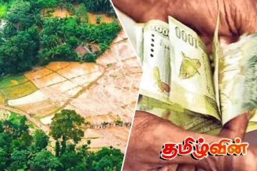 இந்த வருடம் நெல் அறுவடை குறையும் ஆபத்து!விவசாயத் துறையின் அறிவிப்பு