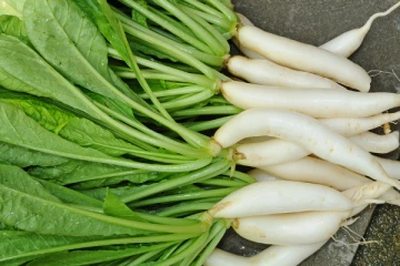 முள்ளங்கியுடன் இந்த உணவுகளை மட்டும் சேர்த்து சாப்பிட்டுவிடாதீர்கள்! உயிருக்கே ஆபத்து!