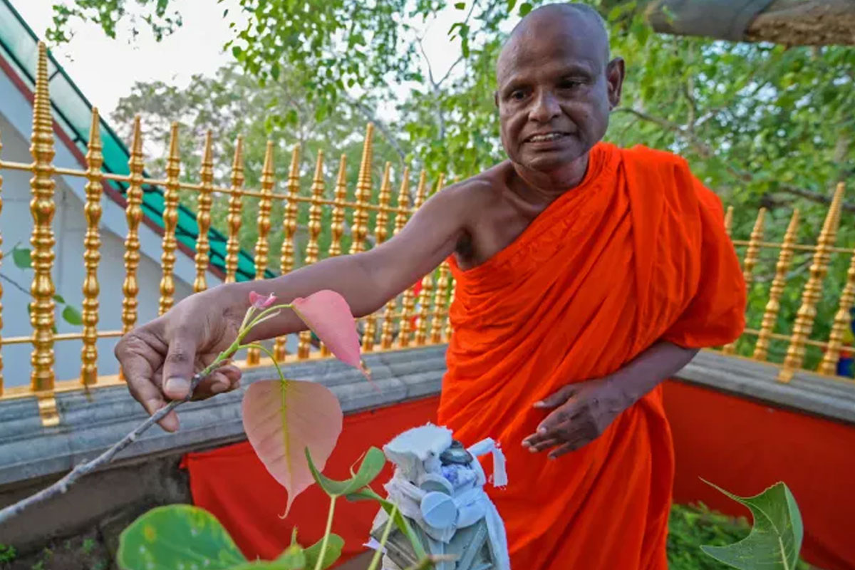 අරවින්ද සිල්වා සහ පල්ලේගම හිමියන් බේරන්න දේශපාලන මෙහෙයුමක්? කීර්ති රත්නායකගෙන් ආන්දෝලනාත්මක හෙළිදරව්වක් | Government To Save Pallegama Thero Aravinda Silva අරවින්ද සිල්වා සහ පල්ලේගම හිමියන් බේරන්න දේශපාලන මෙහෙයුමක්? කීර්ති රත්නායකගෙන් ආන්දෝලනාත්මක හෙළිදරව්වක් | Government To Save Pallegama Thero Aravinda Silva