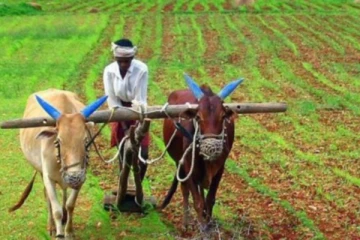 விவசாயிகளுக்கு மகிழ்ச்சி செய்தி ; காப்பீட்டுத் திட்டம் தொடர்பில் வெளியான அறிவிப்பு