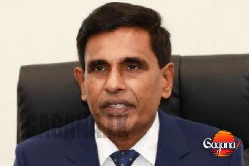 ඇමති ආනන්ද විජයපාලගේ ව්‍යාජ ඡායාරූ පළකෙරූ පුද්ගලයන්ට වැඩ වරදී