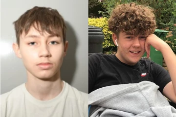 பிரித்தானியாவில் 12 வயது நண்பனை 70 முறை குத்திக் கொன்ற சிறுவன்: நீதிபதி அதிரடி தீர்ப்பு