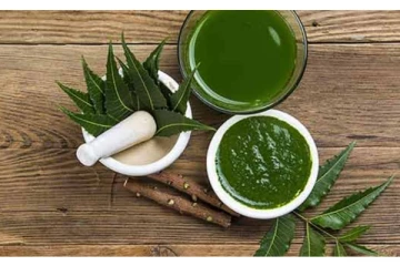 பல நோய்களில் இருந்து நம்மை பாதுகாக்கும் இந்த இலையைப் பற்றி தெரியுமா? இனி தெரிஞ்சா விடமாட்டிங்க