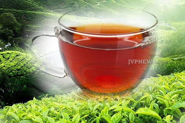 இலங்கையில் அதிகரிக்கும்  மற்றுமொரு பொருளின் விலை | Increasing Price Of Tea