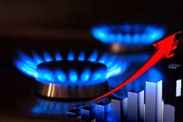 சர்வதேச சந்தையில் அதிகரித்த இயற்கை எரிவாயுவின் விலை