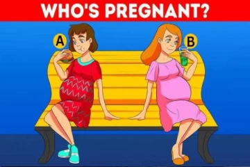 IQ Test: கர்ப்பிணி வேஷம் போட்டு கணவரை ஏமாற்றும் பெண்.. நிஜத்தில் தாயானவர் யார் தெரியுமா?