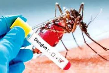 டெங்கு நோயாளர்களின் எண்ணிக்கையில் ஏற்பட்டுள்ள மாற்றம்