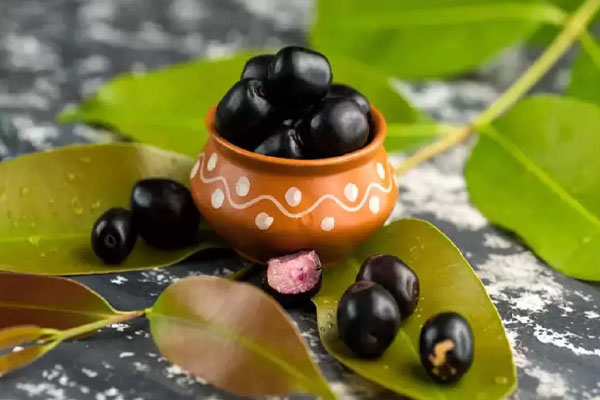 நீரிழிவுக்கே எமனாகும் நாவல்பழம் | Benefits Of Navalpalam