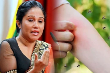 டெங்கு நோயாளர்களின் மரணங்கள் தொடர்பில் அரசாங்கம் வெளியிட்டுள்ள அறிவிப்பு