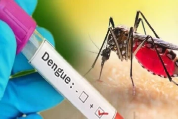 இலங்கையில் வேகமெடுக்கும் டெங்கு நோய்த்தாக்கம்