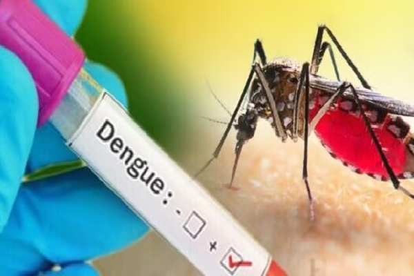 இலங்கையில் வேகமெடுக்கும் டெங்கு நோய்த்தாக்கம் - ஐபிசி தமிழ்