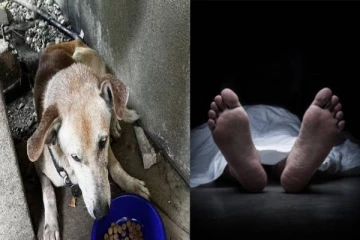 இறந்த உரிமையாளர்; ஹாஸ்பிட்டலில் காத்துக் கிடந்த நாய் - மனதை உருக்கும் சம்பவம்!