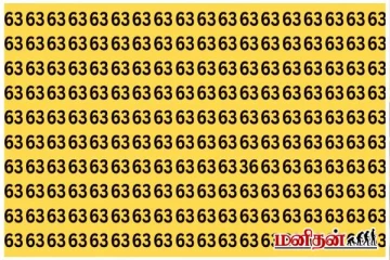 '63' இல் மறைந்திருக்கும் '36' ஐ 10 வினாடிகளில் கண்டுபிடிக்க முடியுமா?