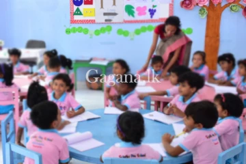 ලබන මාසයේ සිටපෙර පාසලේ සිටම ලිංගික දැනුම. - නව පොත් සැකසීම ඇරඹෙයි.