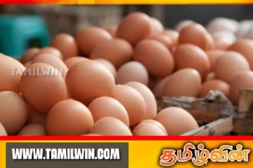 முட்டை விலை குறைப்பு!