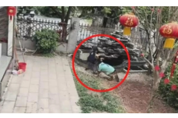 குளத்தில் விழுந்த பந்து... - சிறுவனின் உயிரை காப்பாற்றிய நாய்.. - வைரலாகும் வீடியோ - தமிழ்நாடு