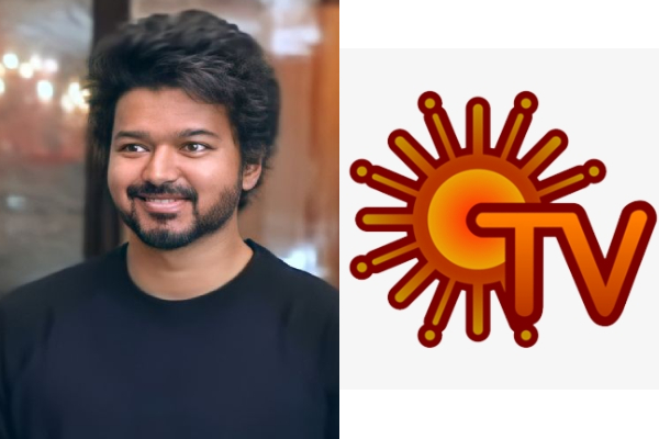 சன் டிவி சீரியலில் வந்த தளபதி விஜய்.. வெளிவந்த வீடியோவை பாருங்க