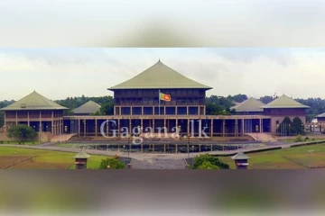 පාර්ලිමේන්තුවේ ආචාර්ය ගැටලුවට තවත් ප්‍රධානීන් කිහිප දෙනෙකු CIDයට..