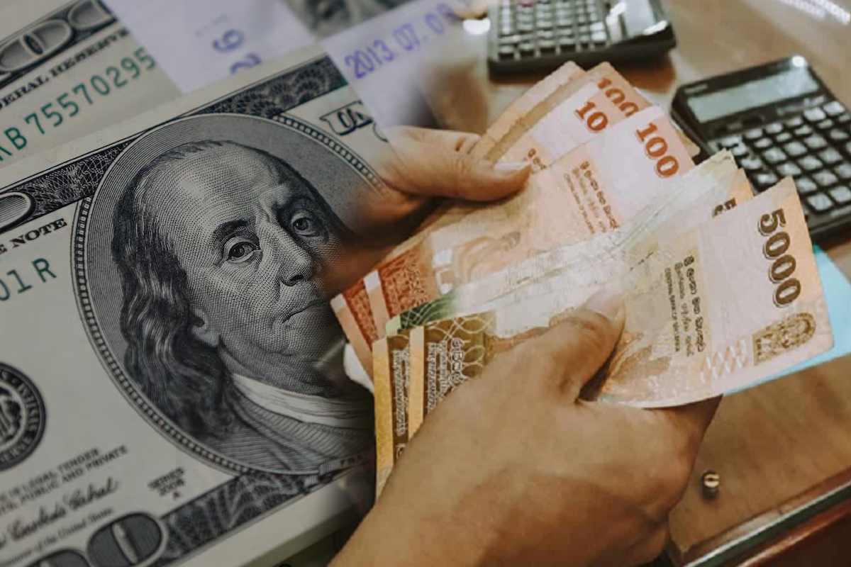 டொலருக்கு நிகரான இலங்கை ரூபாயின் பெறுமதி வீழ்ச்சி! | Sri Lankan Rupee Depreciates Against The Us Dollar