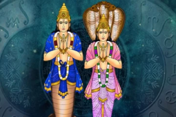 உங்கள் ஜாதகத்தில் கேது எந்த இடத்தில் இருக்கிறாரோ.. அதுதான் உங்கள் வாழ்க்கை பாடமாகும்