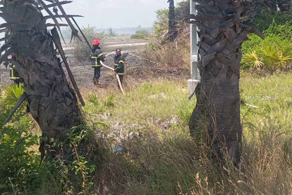 அல்லைப்பிட்டியில் நடந்த தீ விபத்து - பல ஏக்கர் புற்றரை எரிந்து நாசம்! | Fire Accident In Allaipitiya