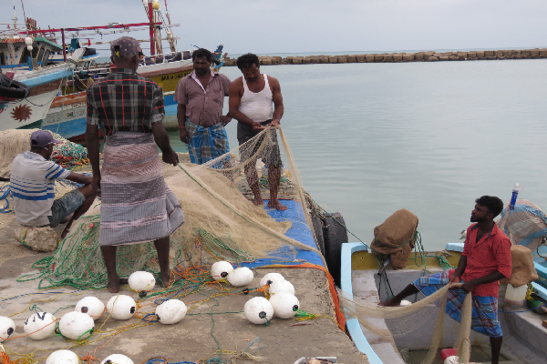 இந்திய இழுவைப் படகுகளால் யாழ்ப்பாண கடற்றொழிலாளர்களுக்கு ஏற்பட்ட பாரிய இழப்பு | Huge Loss To Jaffna Fishermen Indian Trawlers