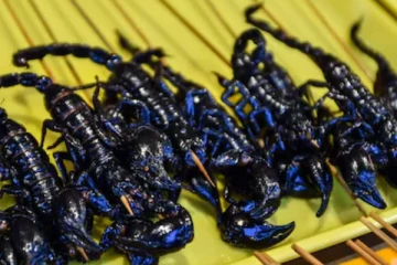 அளவில் சிறிய, அதிசய தோற்றம் கொண்ட புதிய தேளினம் கண்டுபிடிப்பு.... எங்கு தெரியுமா!