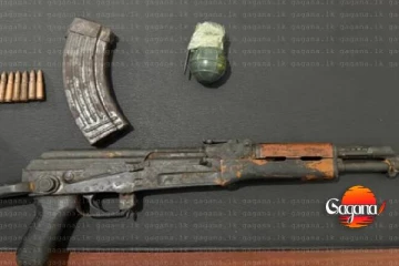 අපරාධයකට සම්බන්ධ සැකකරුවෙකු ගිනි අවියක් සමග පොලීසියට කොටු