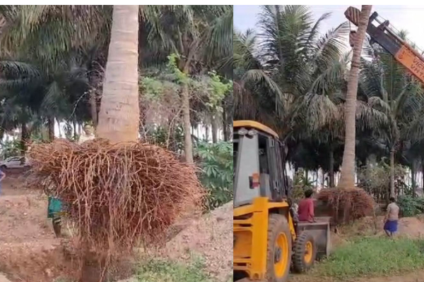 மாத்தறை மாவட்டத்தில் வேகமாகப் பரவி வரும் 