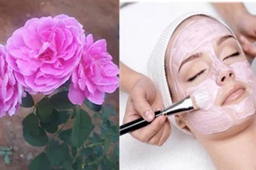 வெயில் பாதிப்பிலிருந்து சருமத்தை பாதுகாக்க வேண்டுமா?  பன்னீர் ரோஜாவை எப்படி பயன்படுத்தி பாருங்க!