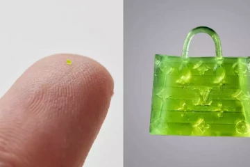 ලොව කුඩාම අත්බෑගය ඇදහිය නොහැකි මිලකට අලෙවි වෙයි - (PHOTOS / VIDEO)