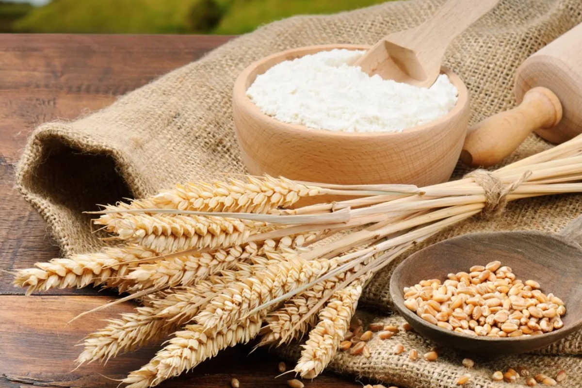 கோதுமை மாவின் விலை 13ரூபாவினால் அதிகரிப்பு | Wheat Flour Increased By 13 Rupees கோதுமை மாவின் விலை 13ரூபாவினால் அதிகரிப்பு | Wheat Flour Increased By 13 Rupees