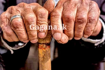 විශ්‍රාමිකයන් ගැන තීරණයක්?. දැන් ලැබුණ ආරංචිය මෙන්න..