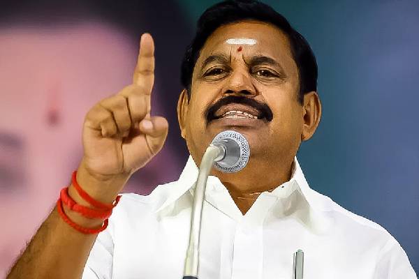 திமுக வெல்வது போலி வாக்காளர்களால் தான் - அமைச்சர் துரைமுருகனுக்கு எடப்பாடி பதிலடி | Edappadi Palaniswami On How Dmk Win In Chennai