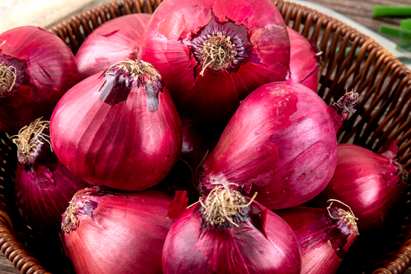 நாட்டில் பெரிய வெங்காயத்தின் விலையில் வீழ்ச்சி! | Big Onion Prices Drop In Srilanka