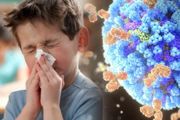 இலங்கை மக்களுக்கு எச்சரிக்கை விடுத்த சுகாதார நிபுணர்கள்