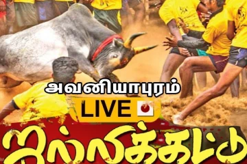 தமிழர்களின் வீரவிளையாட்டு - அவனியாபுரம் ஜல்லிக்கட்டு (நேரலை வீடியோ)