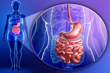 உங்களுக்கு அடிக்கடி வயிறு வீங்கிக் கொண்டிருக்கிறதா? இந்த நோயின் அறிகுறியாக கூட இருக்கலாம்
