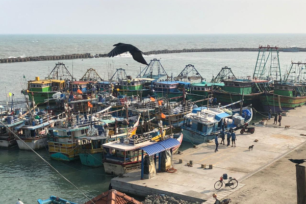 43 இந்திய மீனவர்கள் கைது: டக்ளஸுக்கு அழுத்தம் கொடுக்கும் வடக்கு கடற்றொழிலாளர்கள் | Indian Fishers Arrest Sirlanka Beach Douglas 43 இந்திய மீனவர்கள் கைது: டக்ளஸுக்கு அழுத்தம் கொடுக்கும் வடக்கு கடற்றொழிலாளர்கள் | Indian Fishers Arrest Sirlanka Beach Douglas