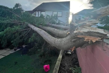 பிரித்தானியாவில் மரம் விழுந்து 9 வயது சிறுவன் பலி! மாலிக் புயல் கோர தாண்டவம்..