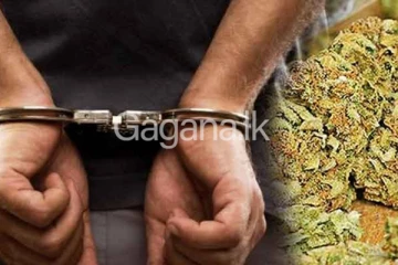 නඩු භාණ්ඩ ගබඩාවෙන් ගංජා සොරකම් කර විකුණූ රාජ්‍ය සේවකයා