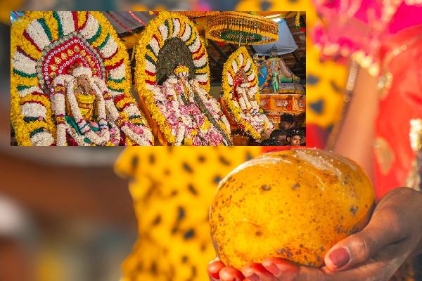 யாழில் 10 இலட்சத்திற்கு ஏலம் போன ஒரு மாம்பழம்..! எந்த கோவிலில் தெரியுமா | Mango Auctioned At Famous Murugan Temple In Jaffna