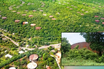 திருகோணமலையில் உள்ள 61 எண்ணெய் தாங்கிகளை புதுப்பிக்க இரு நிறுவனங்கள் திட்டம்